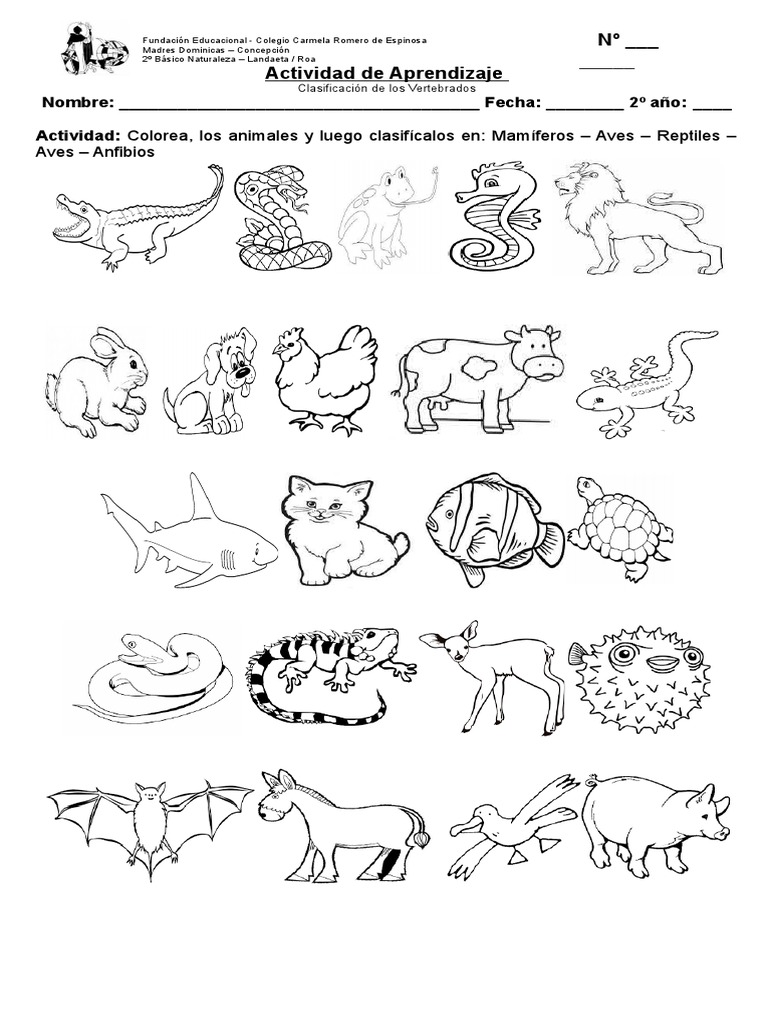 Imagenes De Animales Invertebrados Para Colorear - vdbosjes.blogspot.com