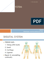 Skeletal System Singkat Nina (2)