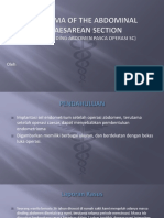 Endometrioma of The Abdominal Wall After Caesarean Section