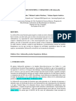 Informe 4. Determinacion Fenotipica y Bioquimica de Salmonella. .