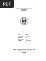 Download LAPORAN MORFOLOGI by ersain vanisa SN364616317 doc pdf