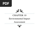 Environmental impact assement