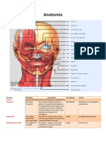 Anatomía