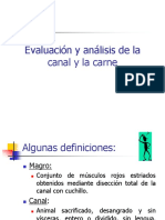 10 Evaluación y Análisis de La Canal y Carne