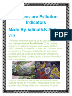 Lichens Are Pollution Indicators