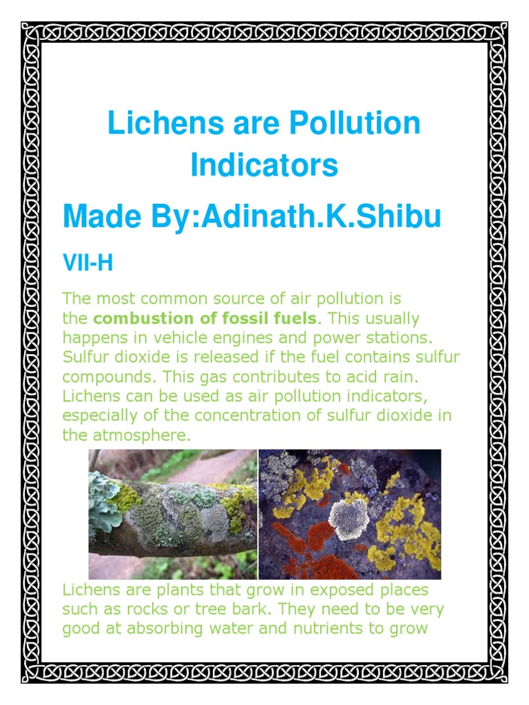 Lichens Are Pollution Indicators Atmosphere Of Earth Air Pollution