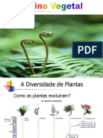 Plantae 01