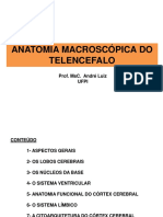 Anatomia_macroscopica_do_telencefalo.ppt