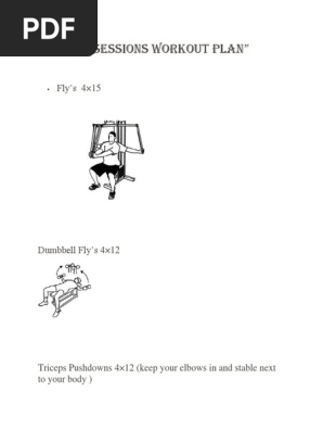 Workout Plan