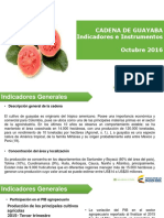 002 - Cifras Sectoriales - 2016 Octubre Guayaba.pptx