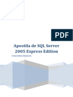 SQL Server Express 2005 - Conceitos Básicos.pdf