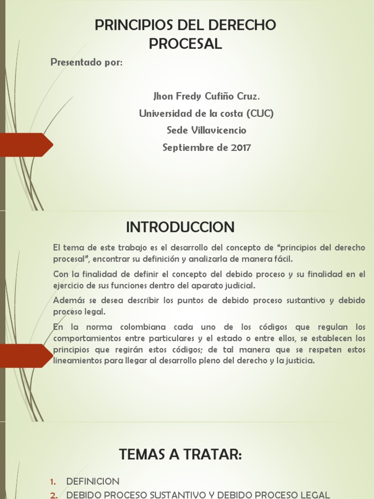 Ppios de Derecho Procesal | PDF | Debido al proceso | Ley procesal