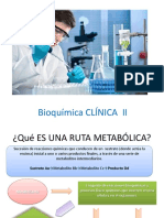 Rutas Metabolicas Clase 01