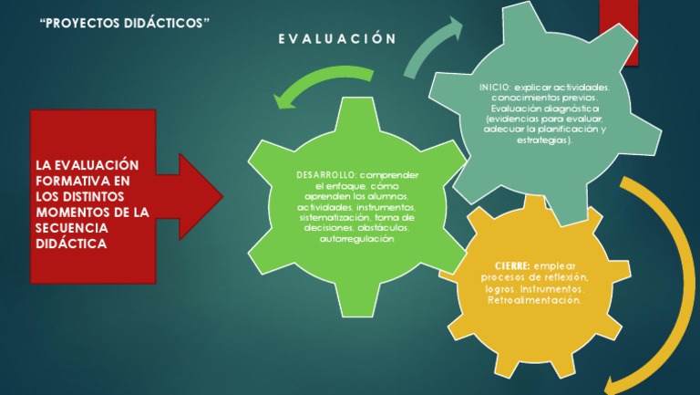 ORGANIZADOR GRAFICO