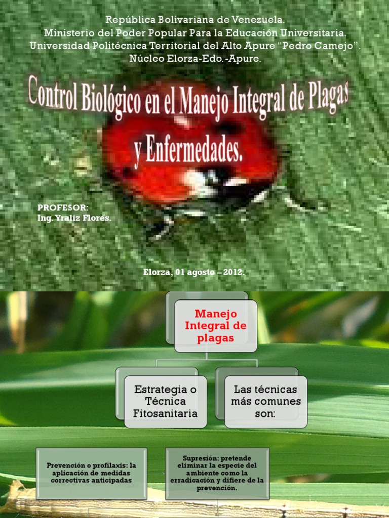 Manejo Integral de Plagas Y Control Biológico | PDF | Insectos ...