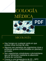 Micología Médica