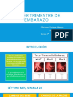 Tercer Trimestre de Embarazo