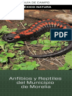 Anfibios y Reptiles Web