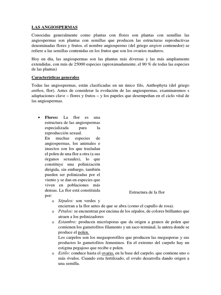 Diversidad y características de angiospermas | PDF | Fruta | Flores