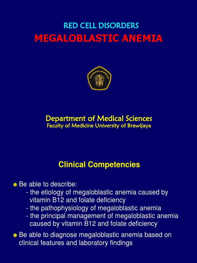 2) Megaloblastic Anemia Anemia Vitamin B12