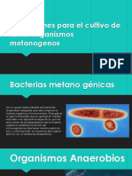 2.5 - Bacterias Metanogénicas