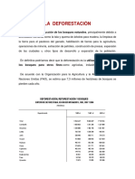 Contaminación 6