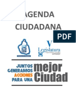 Agenda Ciudadana 2010 2012