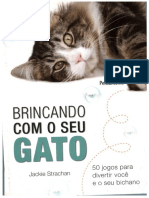 Brincando Com o Seu Gato