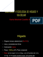 Higado y Vias Biliares