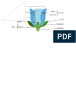 Hojaa de La Plant COMPLETO