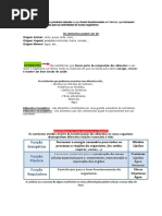 apont cn 6º