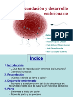 fecundaci-091210150534-phpapp02.pdf