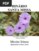 Mestre Irineu - A Santa Missa