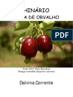 Dalvina Corrente - Gota de Orvalho - Tablet.pdf