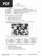 Primary 6 Science: Forces Overview | PDF | Lever | Friction