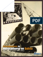 Nacionalizaciones_Hidrocarburos.pdf