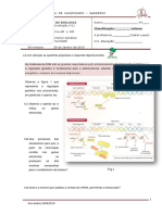 4_teste-bio12_2009-v1.pdf
