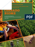 Cerrado Biome: For Conservation, Agricultural Production, and Social Inclusion in The