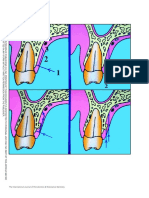 The International Journal of Periodontics & Restorative Dentistry