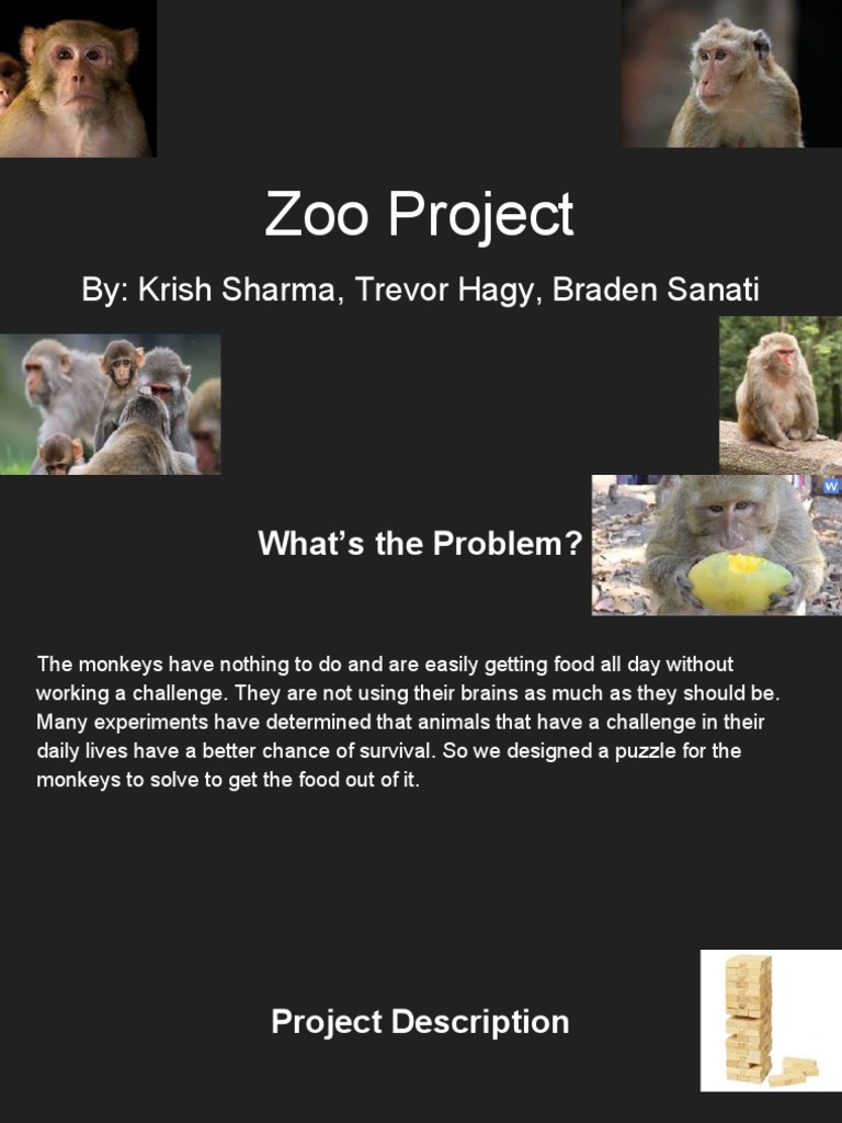 Zoo Project | PDF