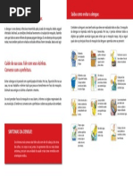 Folder Dengue Funasa