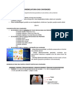 Nomenclatura Das Cavidades - Dentística