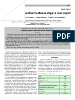 Congenital Urachal Diverticulum in Dogs: A Case Report: Ojszczyk-Szczepaniak A., Miech A., Wojnowski T