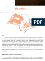 Argissolos: solos minerais com camadas diferenciadas