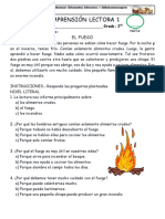 COMPRENSION_LECTORA.pdf