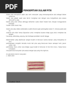 Download Pengertian Sulam Pita by Hikmah Resti Ulfiana SN364748553 doc pdf