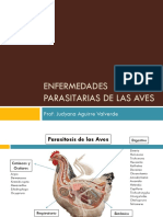 enfermedades-parasitarias-de-las-aves.pptx