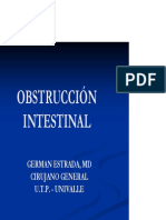 Obstrucción Intestinal1