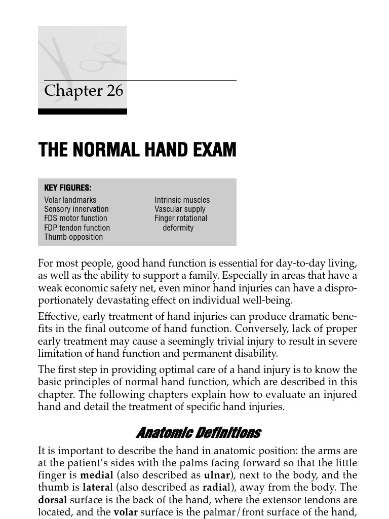 The Hand | PDF