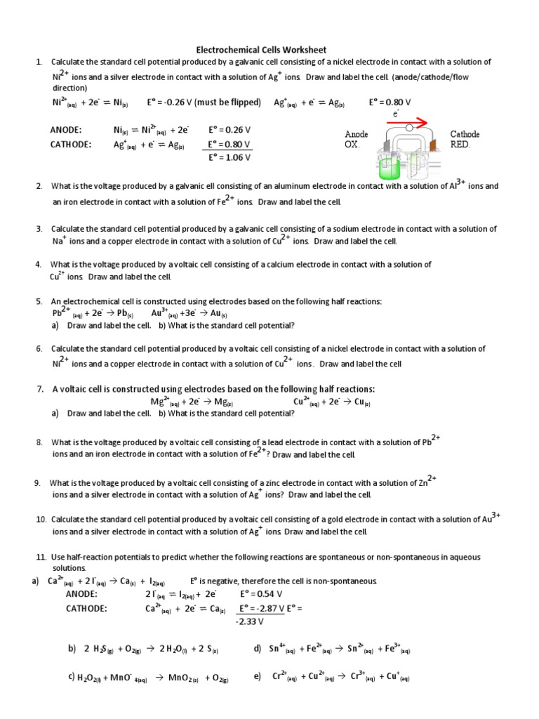 Cell Potentials Worksheet Electrochemistry Anode